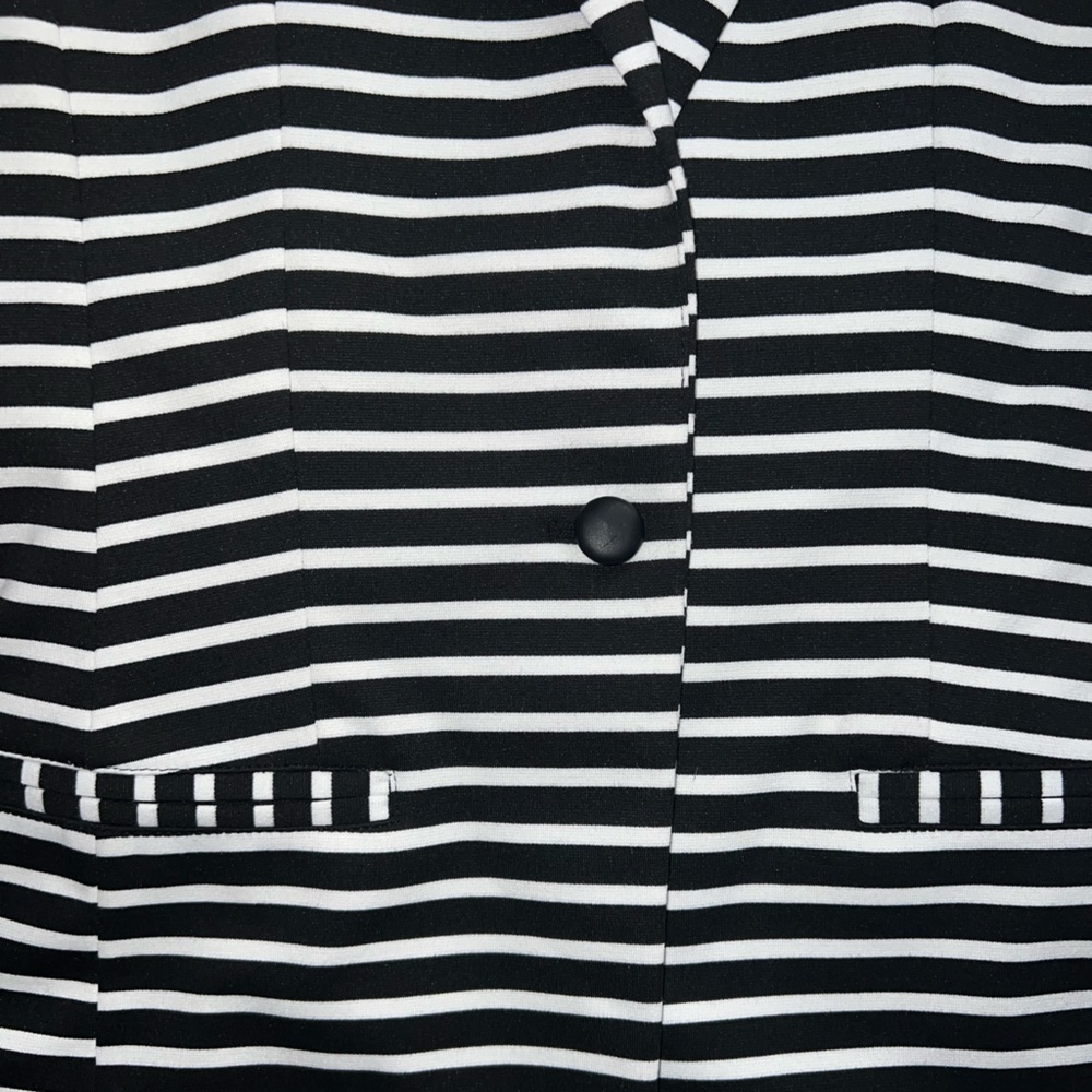 Striped Blazer - Picture 2 of 4